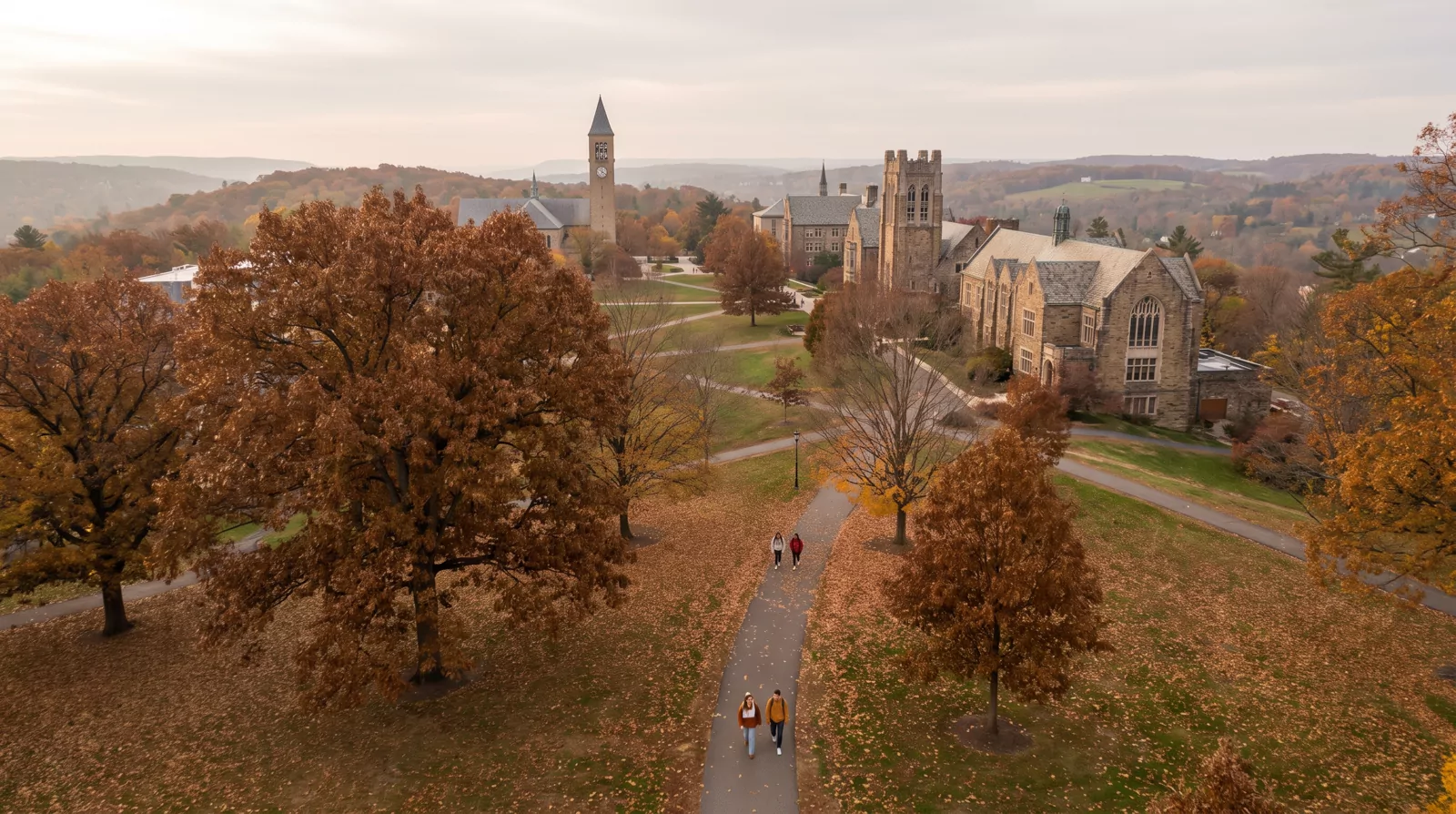 Cornell Acceptance Rate 2027: By College, ED vs RD & Real Odds